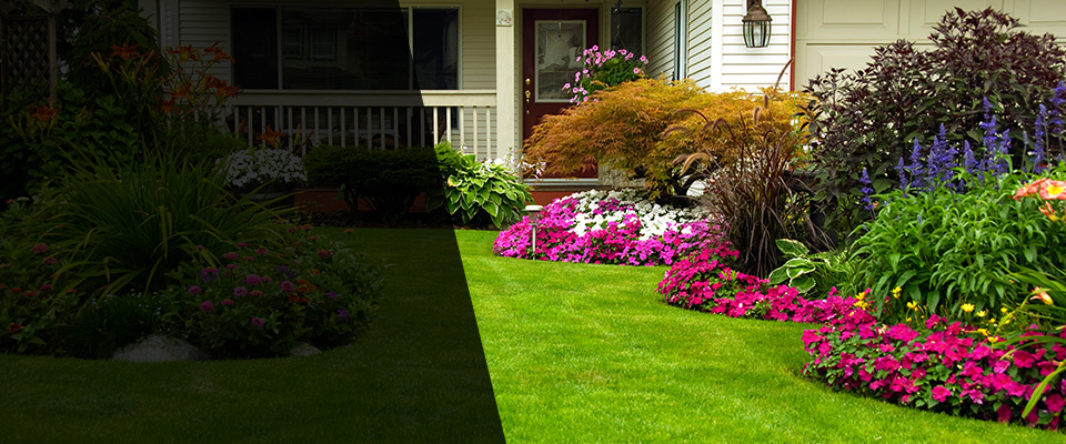 Arab Landscapers