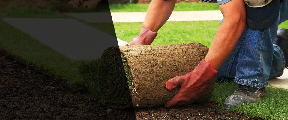 Arab Landscapers